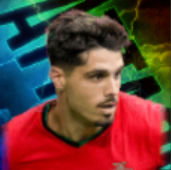 HPペドロネト(09/02)画像