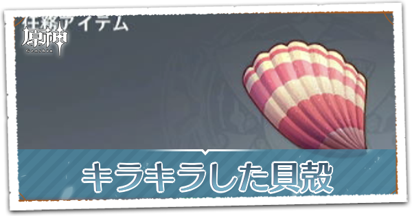 キラキラした貝殻