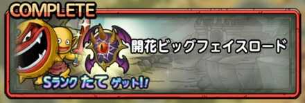 開花ビッグフェイスロード画像