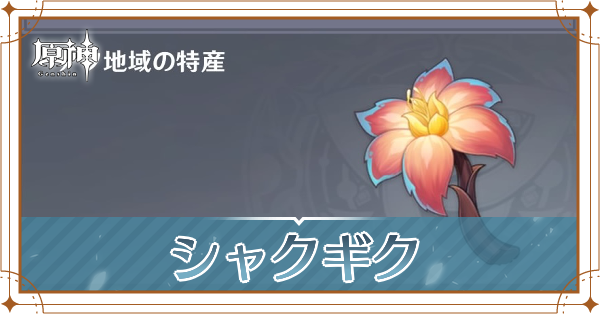 シャクギクの入手場所と使い道