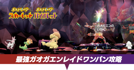 最強ガオガエンレイドのワンパン方法