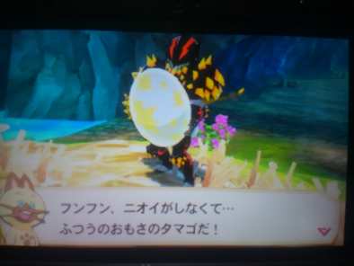 コメント画像