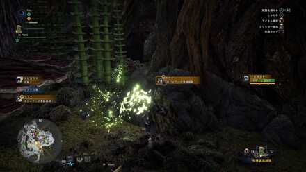 ガジャブーの痕跡