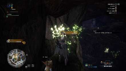 ガジャブーの痕跡