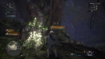 エリア15のガジャブーの痕跡