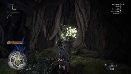 ガジャブーの痕跡