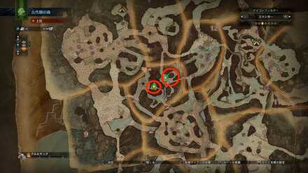 エリア10のマップ