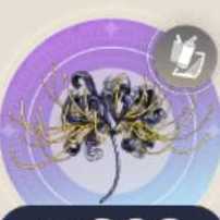 プルールファントームの画像