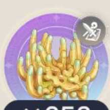 キエンタケの画像