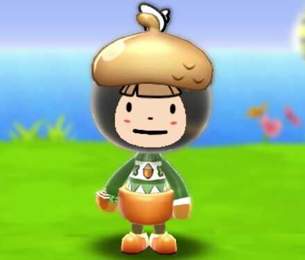 どんぐりセット