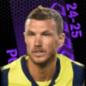 TPエディン・ジェコ(09/12)画像