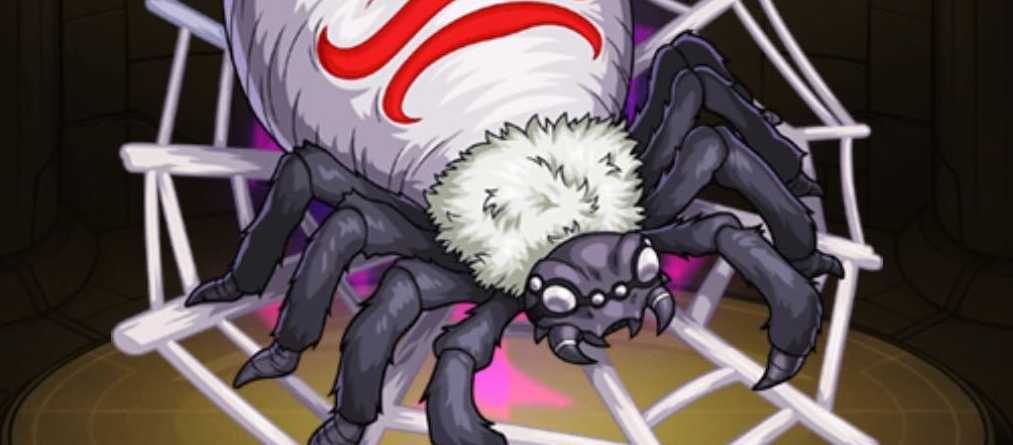 クラウンスパイダーの画像