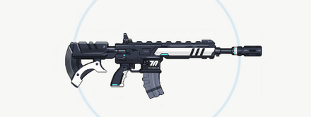 バックドア画像