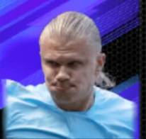 HPアーリングハーランド(09/19)画像