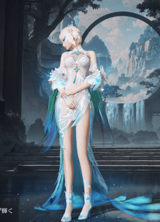 雲上の孔雀画像