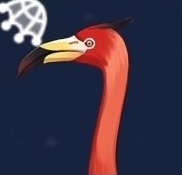 赤フラミンゴ画像