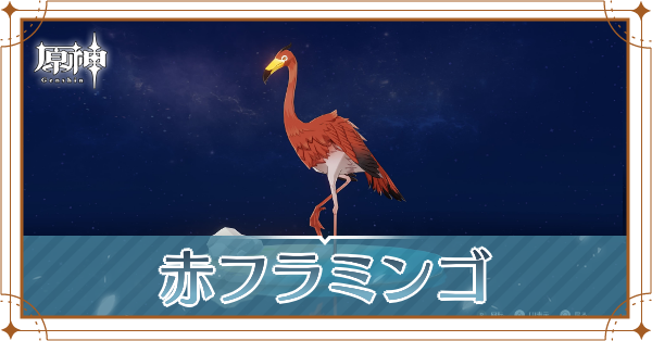 赤フラミンゴの入手場所と使い道
