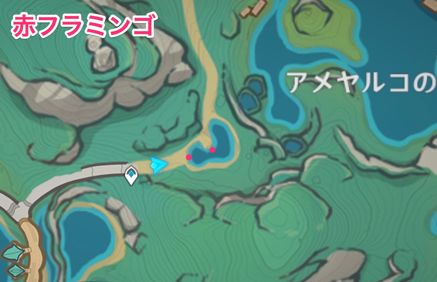 赤フラミンゴのマップ画像