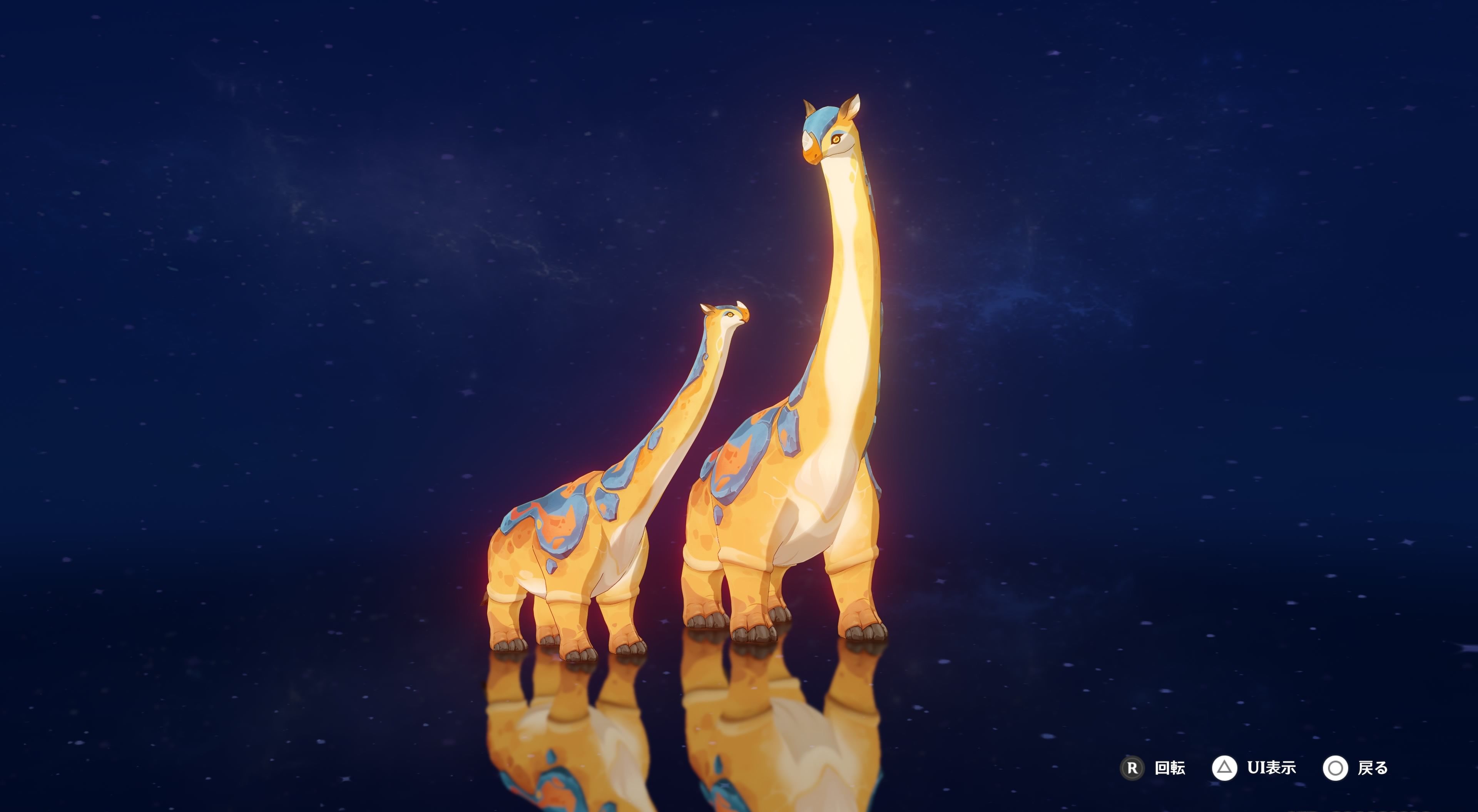 クビナガライノの画像