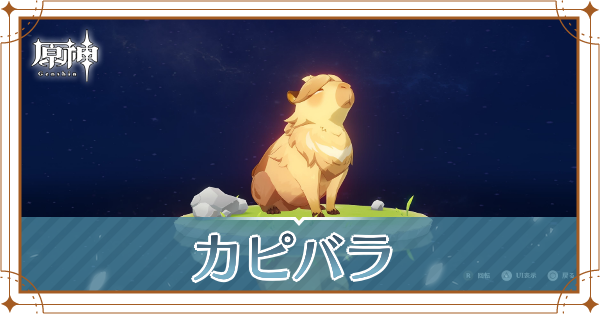 カピバラの入手場所と使い道