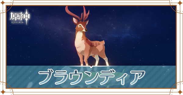 ブラウンディアの入手場所と使い道