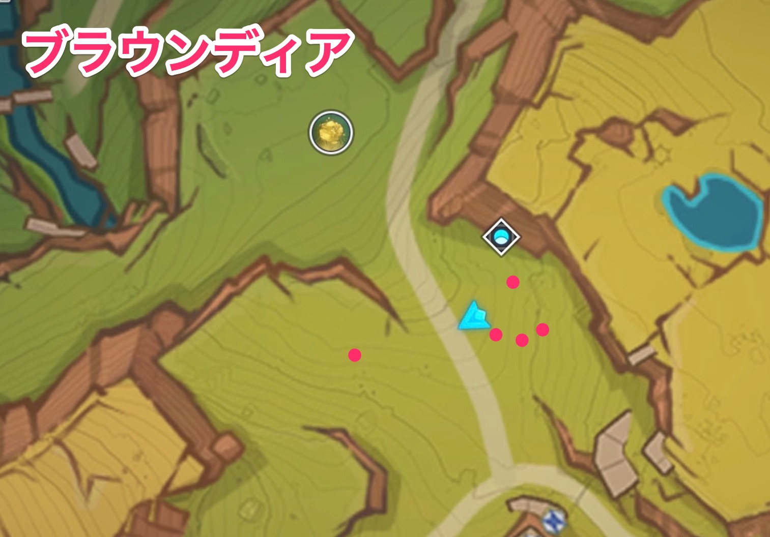 ブラウンディアのマップ画像