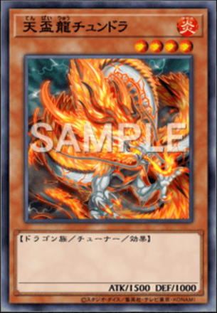 天盃龍チュンドラ画像