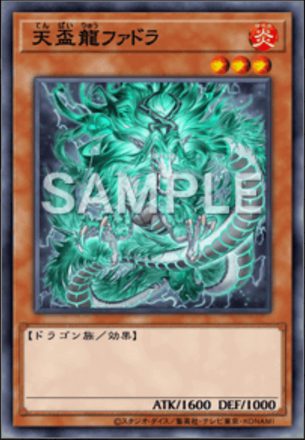 天盃龍ファドラ画像
