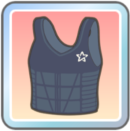 強化ベスト画像