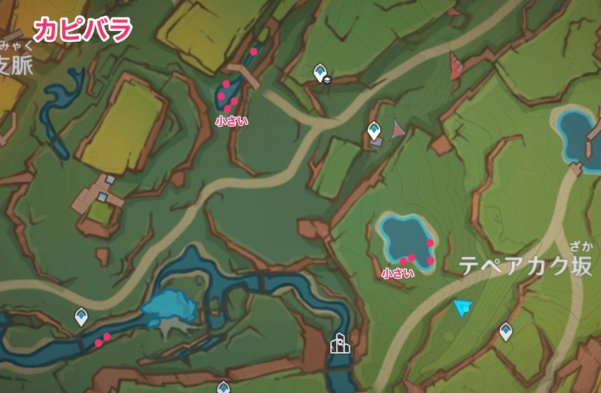 カピバラのマップ画像