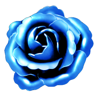 天元の造華【体】