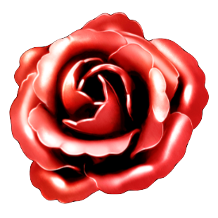 天元の造華【心】