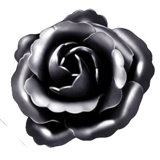 天元の造華【陰】