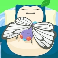 バタフリーの星4寝顔画像