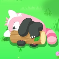 キテルグマの星3寝顔画像