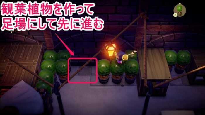 観葉植物を足場にして進む