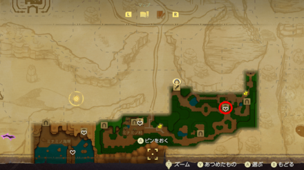 ミナミノ森の洞窟