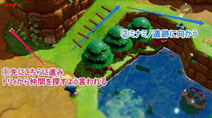 ミナミノ森の順序