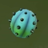 ヒンヤリサボテン画像