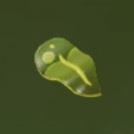 アワコンブ画像