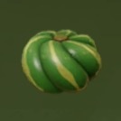 ネジリカボチャ画像