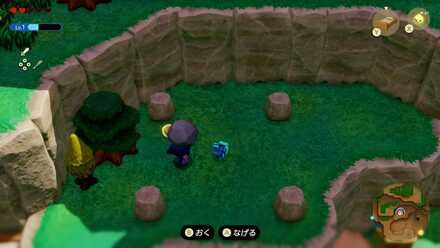 ポップアップ画像