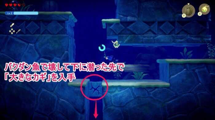 バクダン魚で壊して鍵を入手