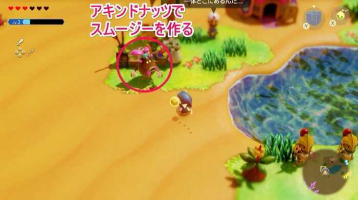 スムージーを作るアキンドナッツ