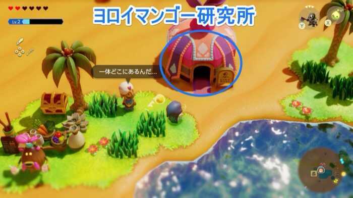 ヨロイマンゴー研究所の画像