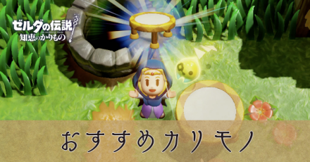 おすすめカリモノ