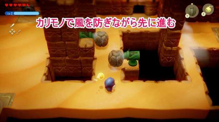 カリモノで風を防ぐ