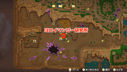 マンゴー狩りの場所