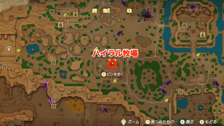 フラッグレース場所