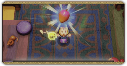 マンゴー狩りクリアパーシャル